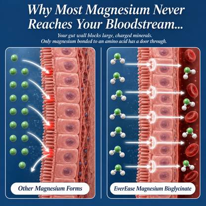Magnesium Bisglycinate